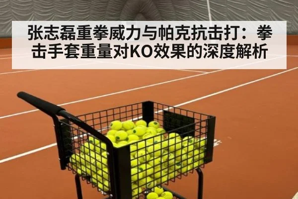 张志磊重拳威力与帕克抗击打：拳击手套重量对KO效果的深度解析